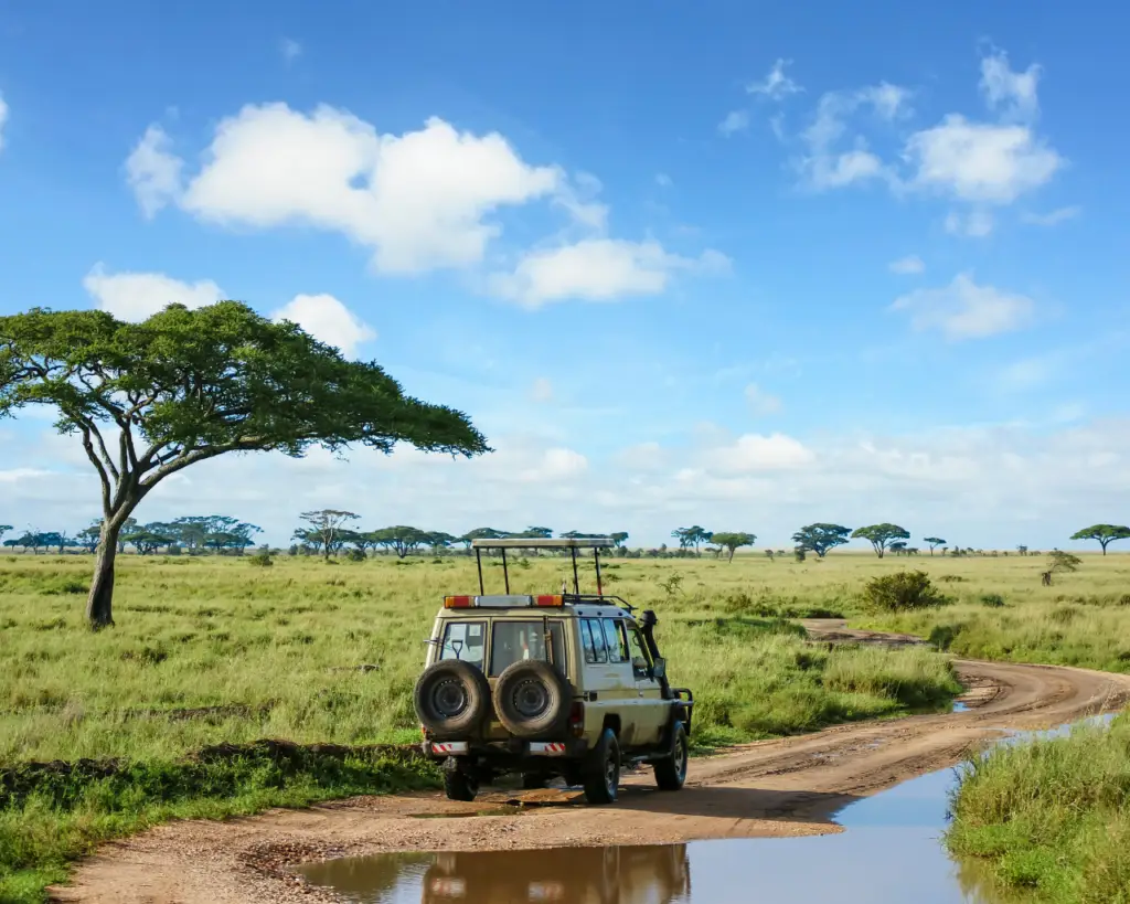 Sustainable Safaris Africa - Experiences - Luxury Safari in Africa Thumbnail - Safari Vehicle Travelling on Dirt Road in the Bush