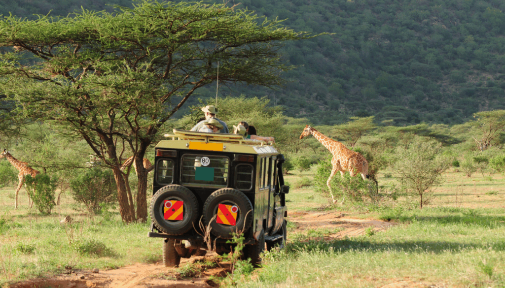 Sustainable Safaris Africa - Destinations - Kenya -