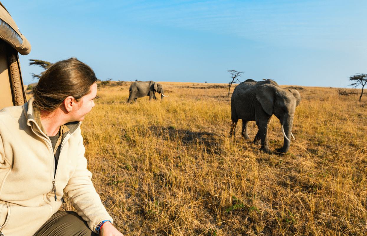 Female Tourist Viewing Elephants on Game Drive Sustainable Safaris Africa - Experiences - Safari Holidays - Malaria-Free Safari -Female Tourist Viewing Elephants on Game Drive