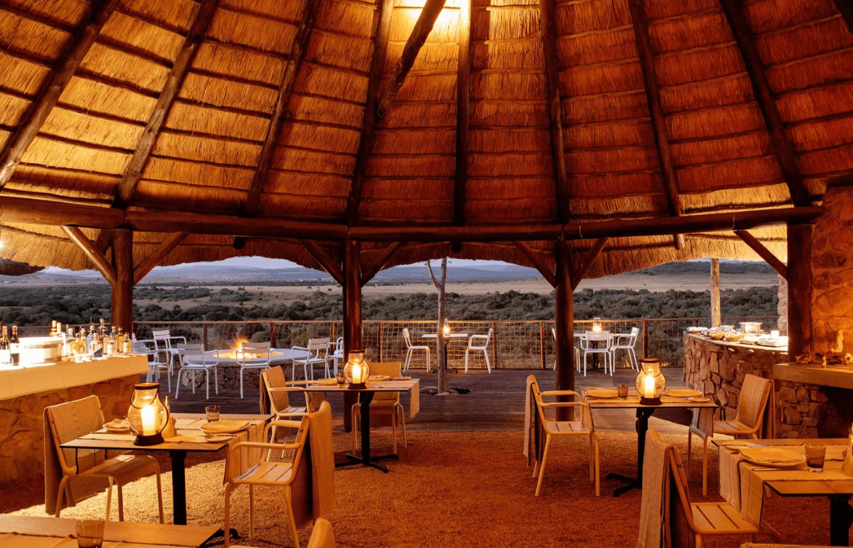 Sustainable Safaris Africa - Journeys - Luxury Eastern Cape Family Safari - Accommodation Dining Area Chairs and Tables
