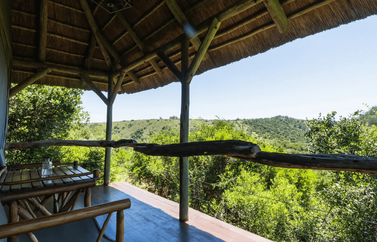 Sustainable Safaris Africa - Journeys - Luxury Eastern Cape Family Safari - View from Accommodation Balcony