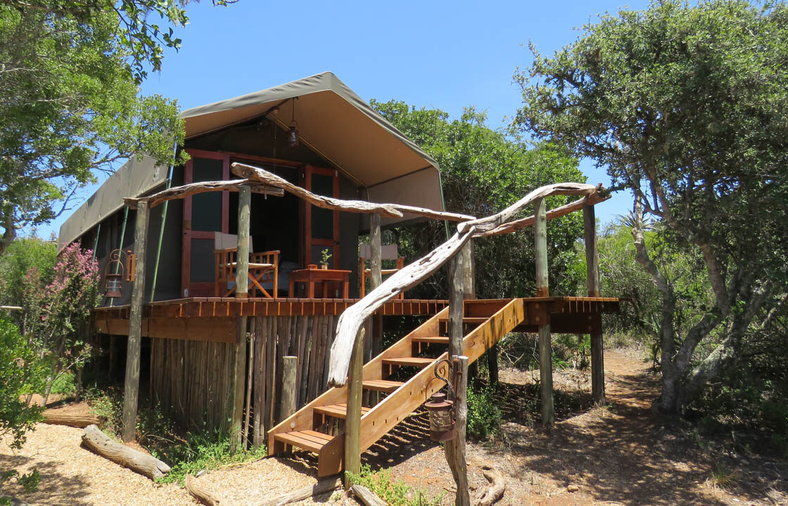 S007-IT2 - Woodbury Tented Camp Safari Hut in the Trees Sustainable Safaris Africa - Journeys - Budget Eastern Cape Safari - Woodbury Tented Camp Safari Hut in the Trees
