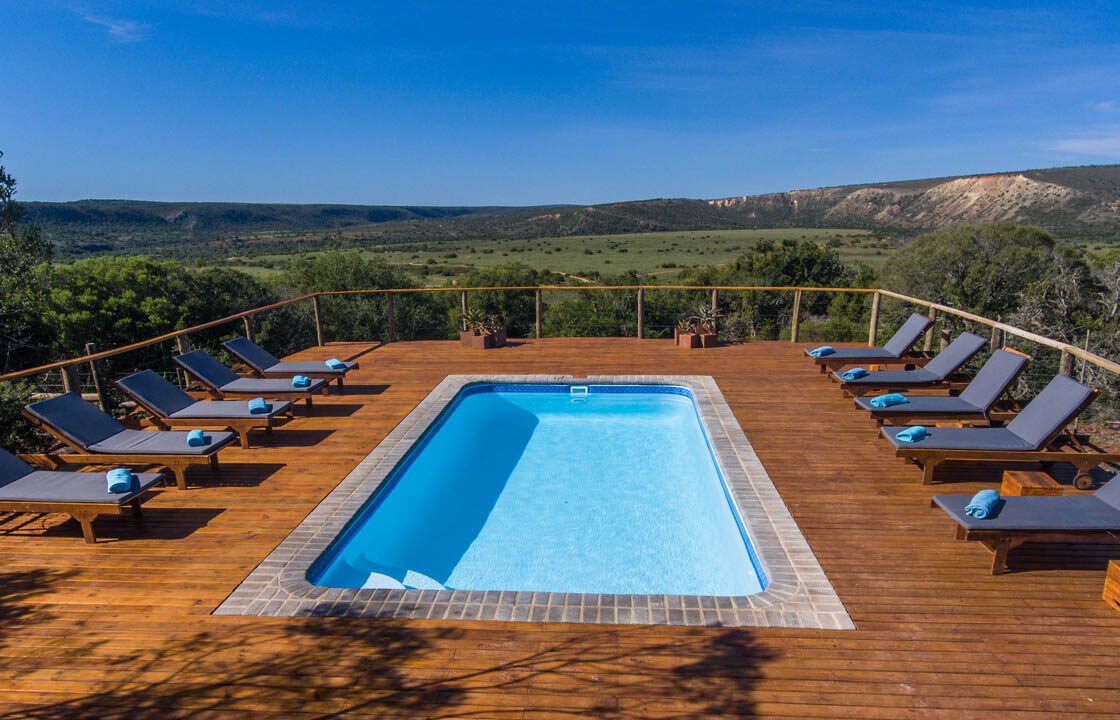S007-IT2 - Safari Lodge Swimming Pool Sustainable Safaris Africa - Journeys - Budget Eastern Cape Safari - Safari Lodge Swimming Pool