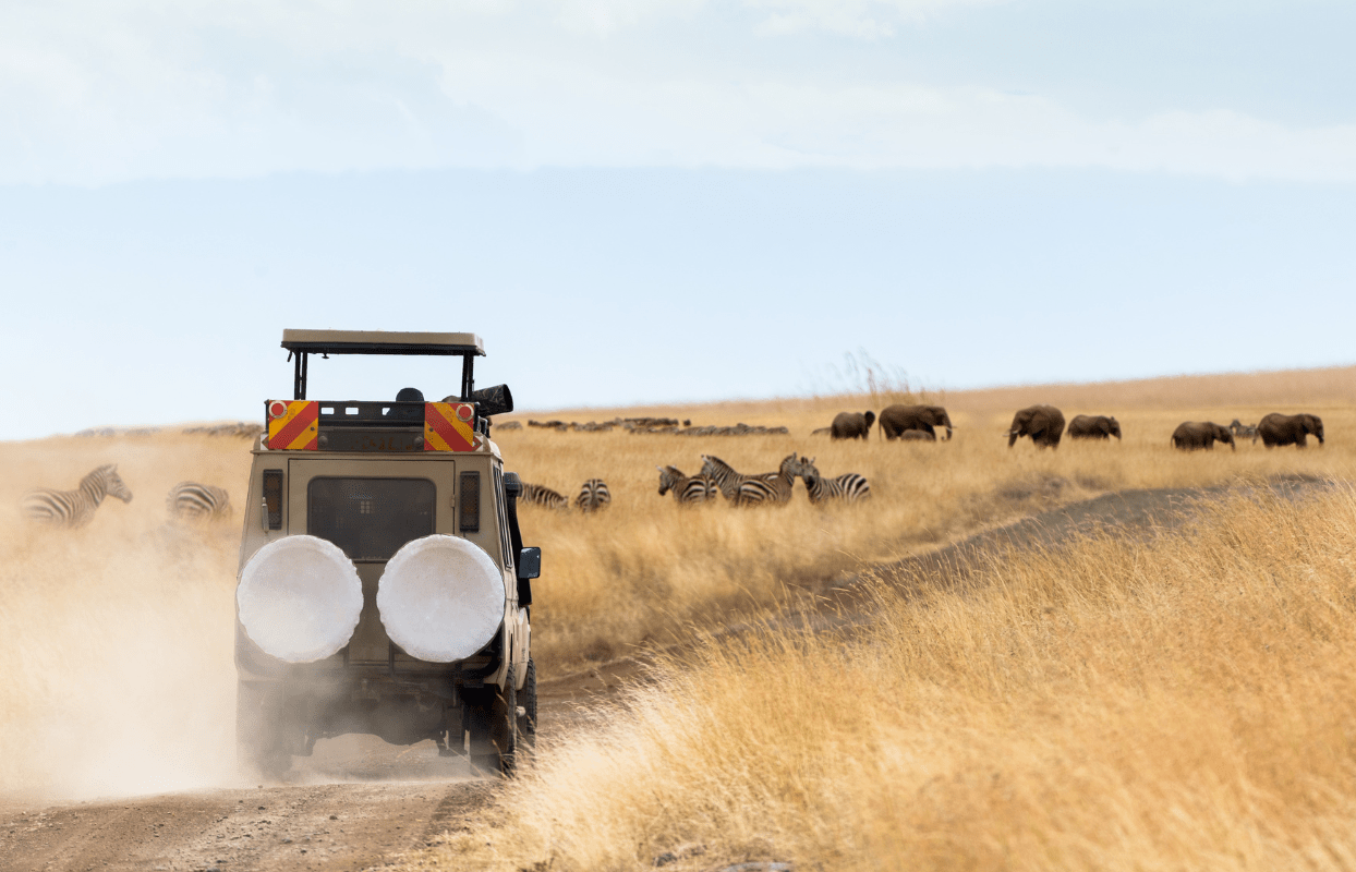 S004 - IT3 - S003-IT3 - Going Home - Safari Vehicle Traveling on Dirt Road in the Bush Sustainable Safaris Africa - Journeys - African Glamping Safari - Family Friendly Kruger Safari - Going Home - Safari Vehicle Traveling on Dirt Road in the Bush