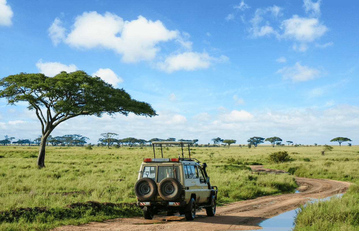 S005- IT4 | S007-IT3 - Going Home - Safari Vehicle Traveling on Gravel Road Through the Wild Sustainable Safaris Africa - Journeys - Budget Madikwe Couple Safari - Budget Eastern Cape Safari - Safari Vehicle Traveling on Gravel Road Through the Wild