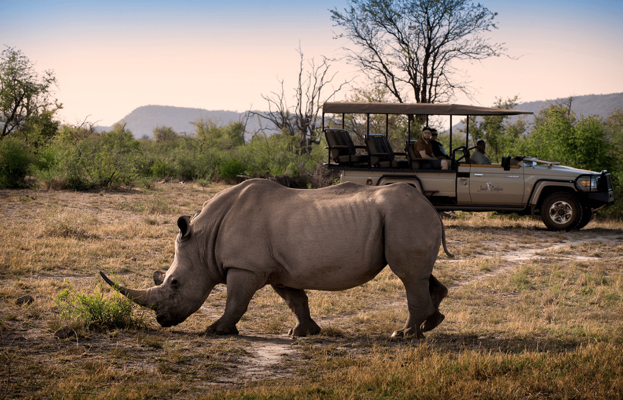 S006-IT2 -Rhino and 4x4 Safari Game Drive Sustainable Safaris Africa - Journeys - Luxury Madikwe Family Safari - Rhino and 4x4 Safari Game Drive