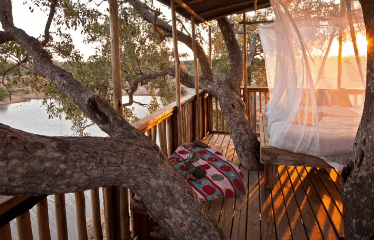 S003-IT1 - Tree on the Balcony and Mosquito Net Sustainable Safaris Africa - Journeys - Family Friendly Kruger Safari - Tree on the Balcony and Mosquito Net