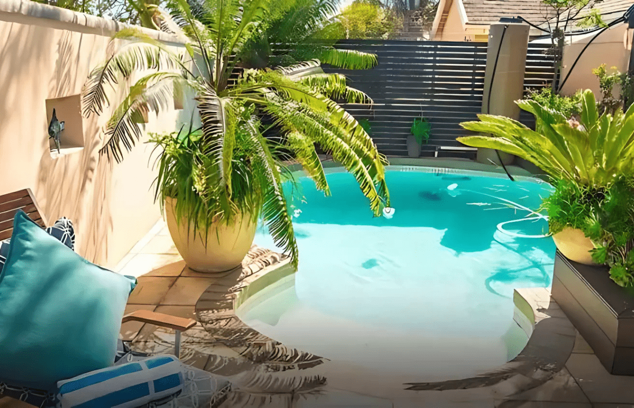 S004 - IT1 - Swimming Pool and Pot Plants at Point B Accommodation Sustainable Safaris Africa - Journeys - African Glamping Safari - Swimming Pool and Pot Plants at Point B Accommodation