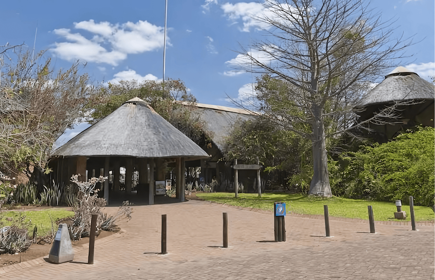 S001-IT1 - Mopani Rest Camp Reception Sustainable Safaris Africa - Journeys - Budget Kruger Safari - Mopani Rest Camp Reception