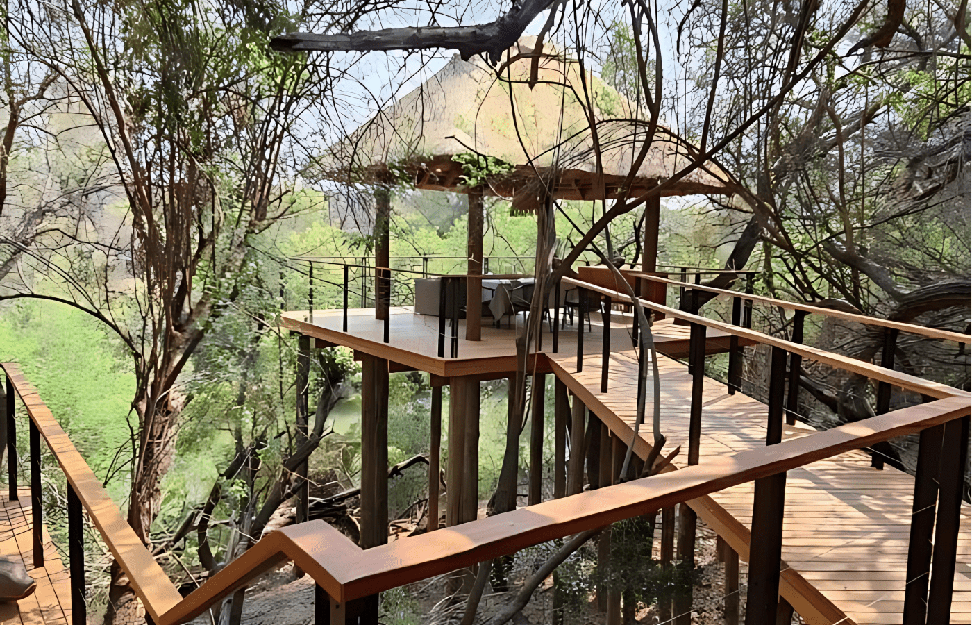 S006-IT3 - Morokuru Tree Top Viewing Lounge Area Sustainable Safaris Africa - Journeys - Luxury Madikwe Family Safari - Morokuru Tree Top Viewing Lounge Area